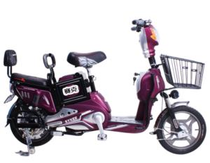 Import Electrical bicycle Maxima from chinese wholesale supplier and manufacturer