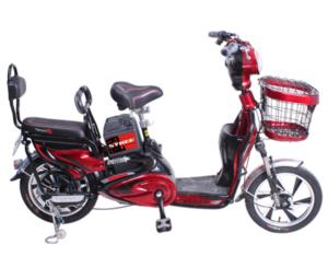 Import Electrical bicycle zhuifeng from chinese wholesale supplier and manufacturer