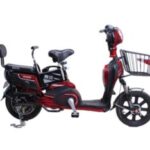 Import Electrical Bike Power king II from chinese wholesale supplier and manufacturer