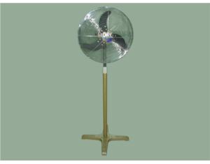 Import Electrical Fan & Exhaust Fan from chinese wholesale supplier and manufacturer