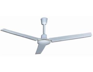 Import Electrical Fan & Exhaust Fan from chinese wholesale supplier and manufacturer