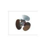 Import Electrical Fan & Exhaust Fan from chinese wholesale supplier and manufacturer