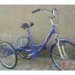Import Electrical Tricycle from chinese wholesale supplier and manufacturer