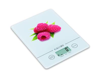 Import Electronic Kitchen Scale / EK9151 from chinese wholesale supplier and manufacturer