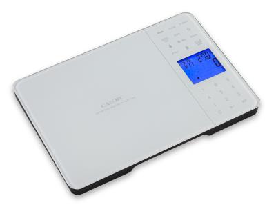 Import Electronic Kitchen Scale / EN105 from chinese wholesale supplier and manufacturer