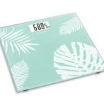 Import Electronic Personal Scale / EB5633H from chinese wholesale supplier and manufacturer