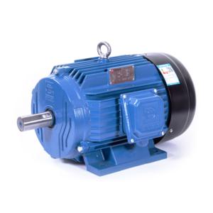 Import EM Series Three Phase Induction Motor IE2 from chinese wholesale supplier and manufacturer