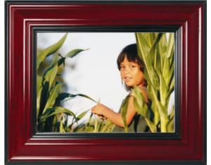 Import F1047DW from chinese wholesale supplier and manufacturer
