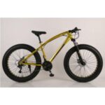 Import FAT TIRE BIKE from chinese wholesale supplier and manufacturer
