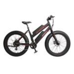 Import Fat tire ebike from chinese wholesale supplier and manufacturer