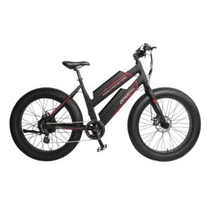 Import Fat tire ebike from chinese wholesale supplier and manufacturer