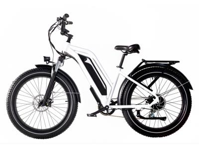 Import Fat tyre ebike MB-EB206S from chinese wholesale supplier and manufacturer