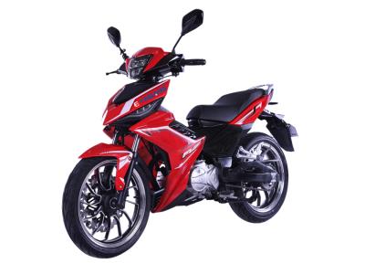 Import Flash from chinese wholesale supplier and manufacturer