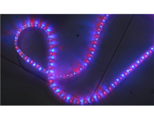 Import Flat 3-wires LED Rope Light from chinese wholesale supplier and manufacturer