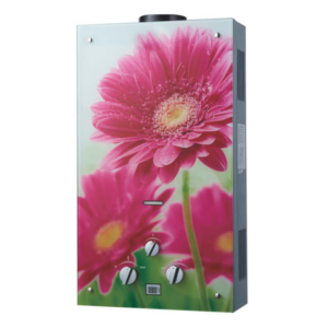 Import Flue exhaust gas water heater from chinese wholesale supplier and manufacturer