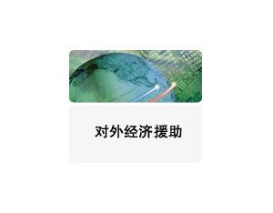 Import Foreign economic aid from chinese wholesale supplier and manufacturer