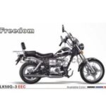 Import Freedom from chinese wholesale supplier and manufacturer