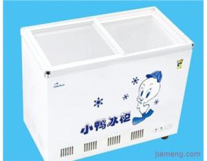 Import FreezerKKJ9 from chinese wholesale supplier and manufacturer
