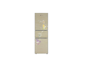 Import FridgeBCD-230B from chinese wholesale supplier and manufacturer