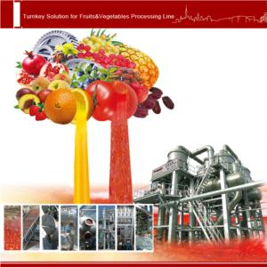 Import Fruit processing line from chinese wholesale supplier and manufacturer