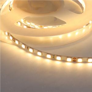 Import FS64 CCT 2835 LED Strip 12V with 140 LEDs /m Furniture Cabinet Light from chinese wholesale supplier and manufacturer