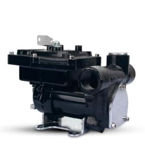 Import Fuel Transfer Pump from chinese wholesale supplier and manufacturer