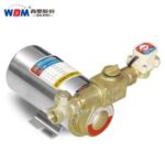 Import full automatic household boosting pump from chinese wholesale supplier and manufacturer