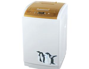 Import Full-automatic washing machine DR56 from chinese wholesale supplier and manufacturer