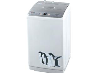 Import Full-automatic washing machine GHJ6 from chinese wholesale supplier and manufacturer