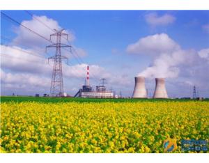 Import Gas Generator from chinese wholesale supplier and manufacturer
