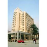 Import Gasoline & Gas Pump from chinese wholesale supplier and manufacturer