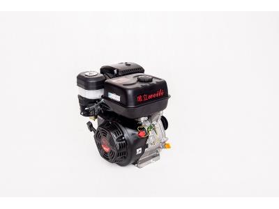 Import gasoline engine from chinese wholesale supplier and manufacturer