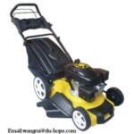 Import GASOLINE LAWNMOWER from chinese wholesale supplier and manufacturer
