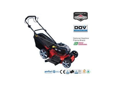 Import Gasoline lawnmower from chinese wholesale supplier and manufacturer