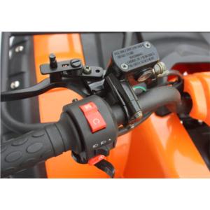 Import Gasoline Powered 4 Stroke Quad Bike ATV 200cc for adult from chinese wholesale supplier and manufacturer