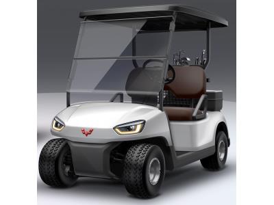 Import Golf Car from chinese wholesale supplier and manufacturer