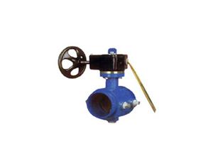 Import Grooved-end Butterfly Valve from chinese wholesale supplier and manufacturer