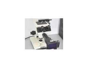 Import GS Series Vise from chinese wholesale supplier and manufacturer