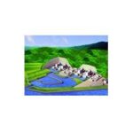 Import Guangdong Taishan Nuclear Power Station Project from chinese wholesale supplier and manufacturer