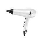 Import Hair dryer HD-2039 from chinese wholesale supplier and manufacturer