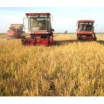 Import Harvesting on Farm from chinese wholesale supplier and manufacturer