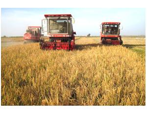 Import Harvesting on Farm from chinese wholesale supplier and manufacturer