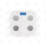 Import Healthy Scale from chinese wholesale supplier and manufacturer