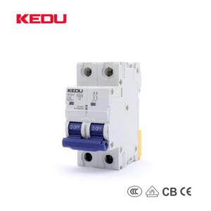 Import High Performance Miniature Circuit Breaker 1P （1-63A）（6KA 10KA）（Type B Type C Type D Type K ) from chinese wholesale supplier and manufacturer