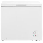 Import Hisense Chest Freezer FC-25DD from chinese wholesale supplier and manufacturer