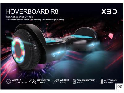 Import HOVERBOARD R8 from chinese wholesale supplier and manufacturer