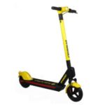 Import HS02Sharing electric scooter from chinese wholesale supplier and manufacturer
