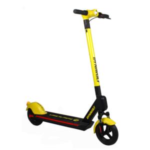 Import HS02Sharing electric scooter from chinese wholesale supplier and manufacturer