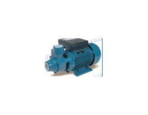 Import IDB SERIES WITH PERIPHERAL IMPELLER PUMP from chinese wholesale supplier and manufacturer