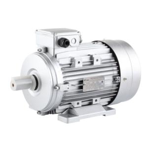 Import IE2 HIGH EFFICIENCY THREE PHASE MOTOR from chinese wholesale supplier and manufacturer